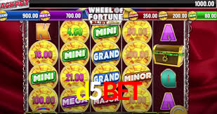 d5bet