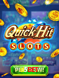 Premium Interface d5bet