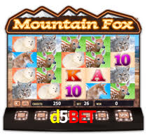 d5bet.com